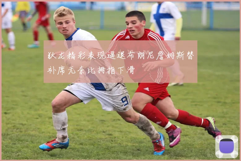 狄龙精彩表现逼退布朗尼詹姆斯替补席无奈比拇指下滑